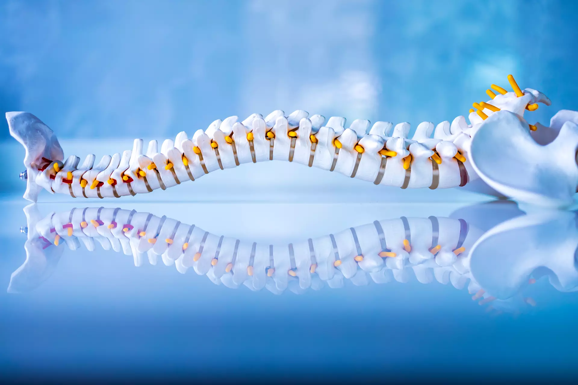 Degenerative Disc Disease